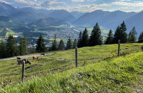 Ferienwohnung Pickenhan - Foto 39