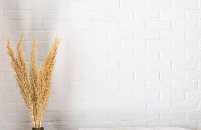 Luxury Villa in Sint-Idesbald with Hot Tub - Photo 66