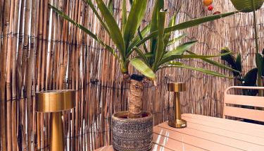 Studio Cocooning avec terrasse au calme Quartier Les Musiciens Mer à 7 minutes à pieds - Foto 2