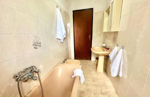 Il castagno - Foto 10