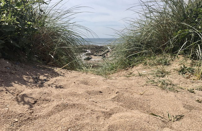 Pear Tree Cottage in South Milton - Foto 21