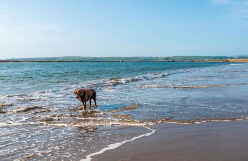 Holly Hayes House - Foto 86