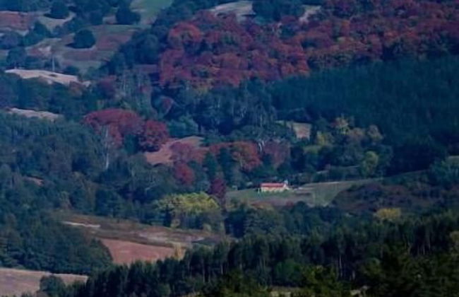 Mendi Alai - Foto 33