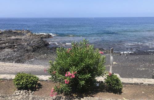 Max Neptuno 1st Line Beach Ocean View Apartment - Foto 27