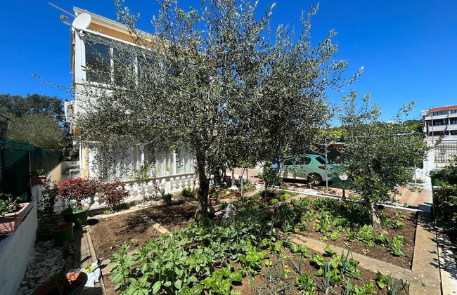 Apartments Kekic - Foto 45