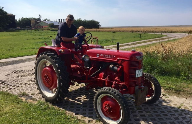 Ferienhof Schild - Foto 27