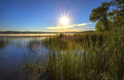 Classic American Getaway in a Lakeside Cabin near Detroit Lakes and Itasca State Park, Minnesota - Foto 8