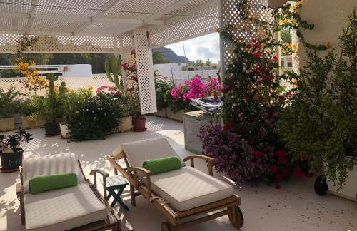 El Jardín del Camaleón - Foto 13