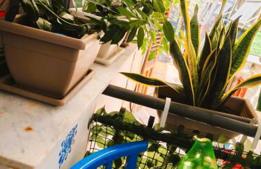 A meravigghia casa vacanze - Foto 27