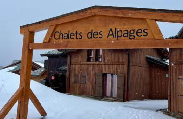 Chalet familial idéal 2 familles nombreuses Ski aux pied 12 pers Plagne Soleil - Foto 49