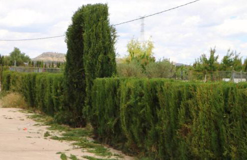 Villa Cuenca - Photo 29