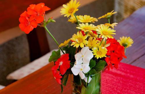 Apartment Vilma - Foto 12