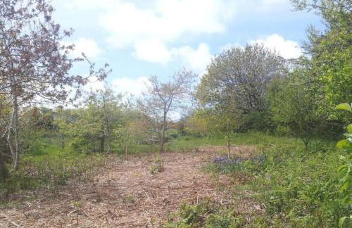 The Cwtsh at Ffynnon Clun: unique. - Photo 25