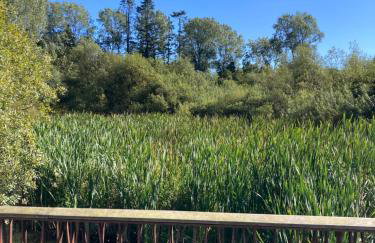 Duncan's Cottage at Royal Hillsborough - Foto 40