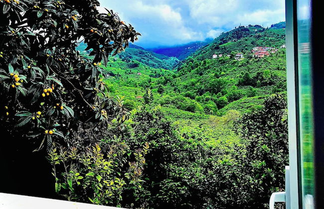 Five Stars Apart Bungalov - Foto 55