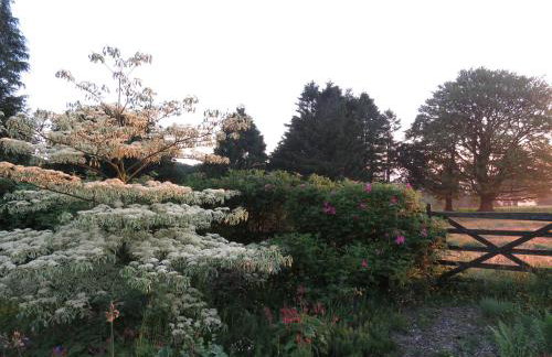 Blaenfforest Granary Newcastle Emlyn - Photo 17