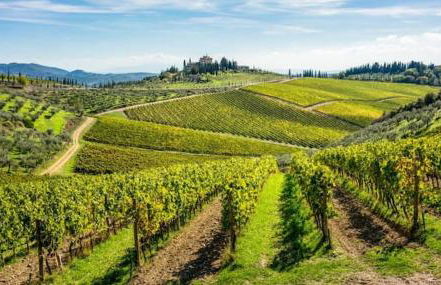 Laura Chianti Vacanze - Photo 22