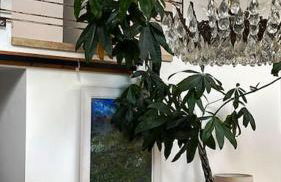 Cybil's Retreat - Renovated 2 bedroom house with enclosed garden - Photo 19