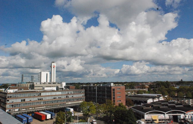 2L De Blend - Photo 50