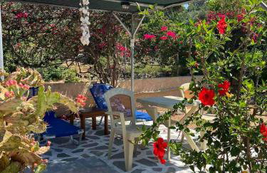 KONSTANTINA'S HOUSE - Photo 19