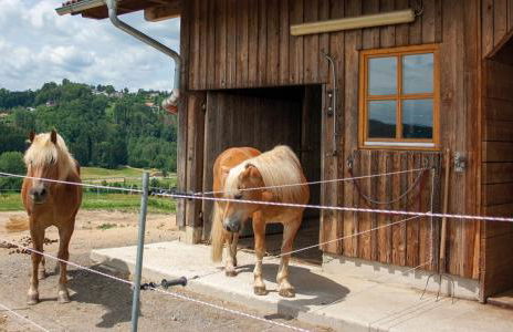 Ferienwohnung Dichtl - Foto 9