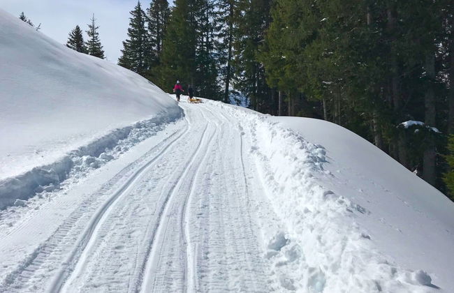 Sur Baselgia - Foto 40