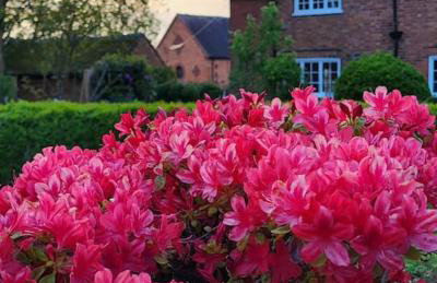 The Lodge at Fairfield Court - Foto 40