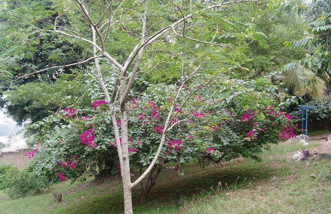 Nimohs' Holiday Home Mccarthy Hill Accra-ghana With Acs - Foto 30