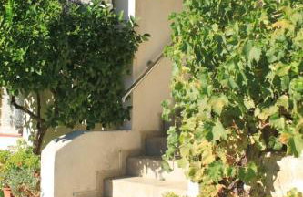 Apartments by the sea Ugljan - 8423 - Foto 12