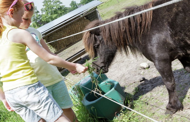 Charming Lodge in Staphorst With Pool Access - Foto 28