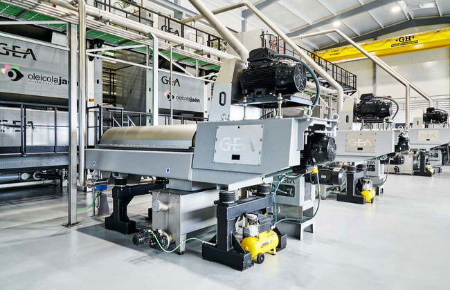 Visita al frantoio Oleícola Jaén con degustazione di olio - Foto 2