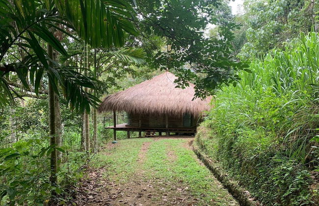 Guava House by The Serendipity Collection - Photo 2