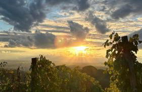 Melarancio Home - Foto 46