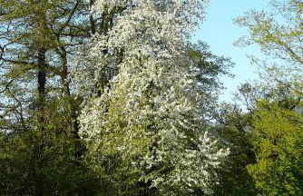 Ferienwohnung am Krippenhof - Foto 20