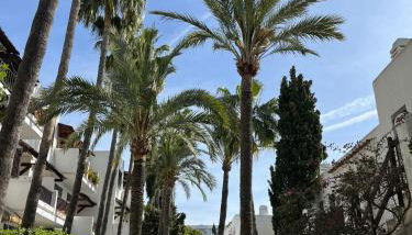 Casa Palma - Foto 3, Garden view