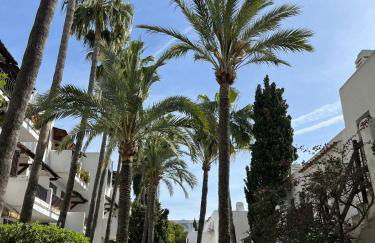 Casa Palma - Photo 3