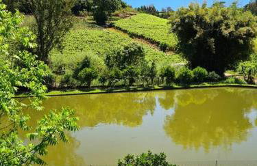 Refúgio Cantinho Verde - Foto 14