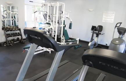 Yellow Bird - Foto 52