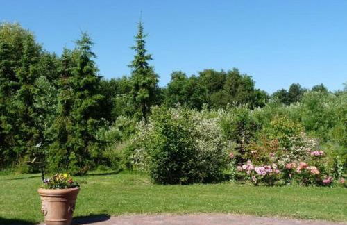 Mil Roses en Baie - Foto 13