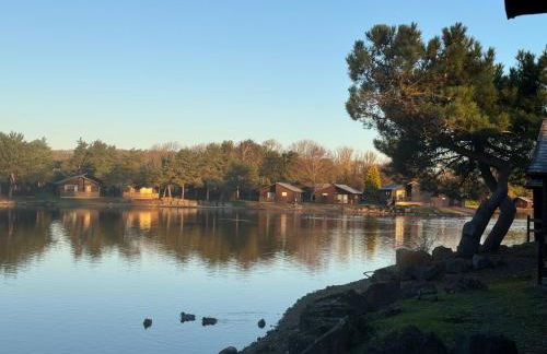 Swanmere lodge, Lakeside view Pinelake Carnforth - Foto 8