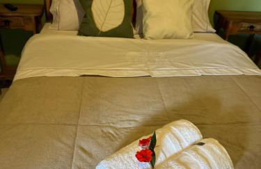 Chalé das Borboletas Vista Pedra Selada Visconde de Maua - Photo 3