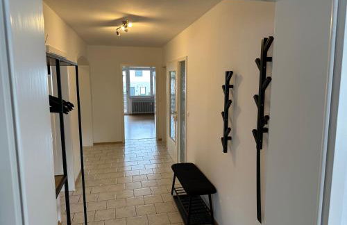 Meerrettichnest Groß - Foto 45