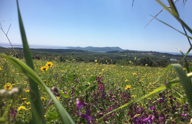 Elegant Villa in Evangelismos with Pool & Garden near Sea Beach - Foto 13