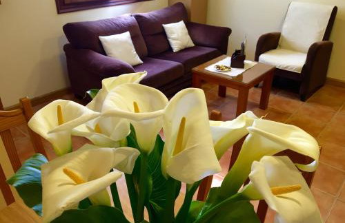 Apartamentos El Pradón de Santa Marina - Photo 27