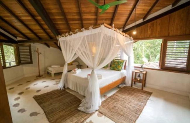 Casa do Arvoredo - casa com serviços - Photo 5