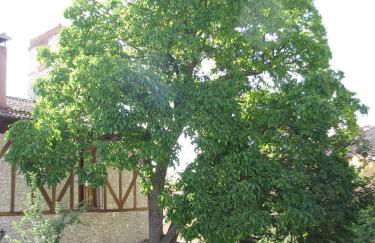 Aparthotel Santa Marina - Foto 23