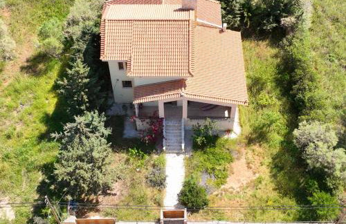 Ancient Greek Villa - Foto 2