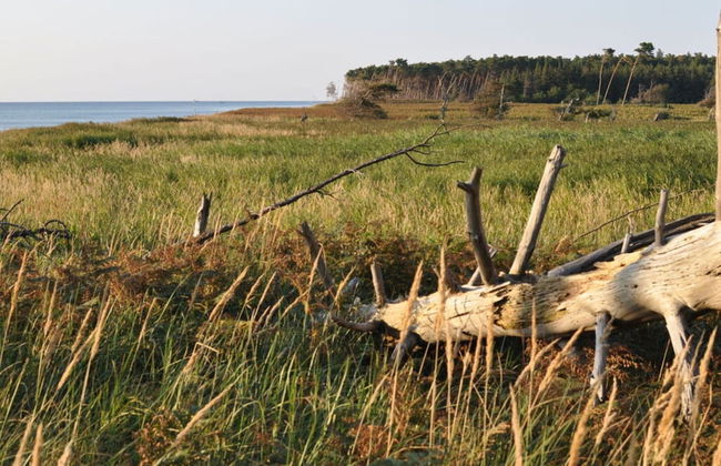 "laura" Comfortable Holiday Residence - Photo 9