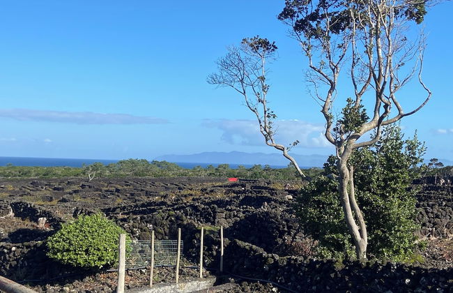 Refúgio da Montanha - Foto 9