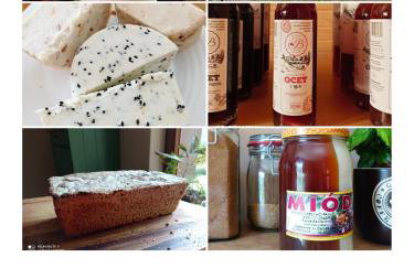 Osada Jelonki Wielka Puszcza - Foto 70